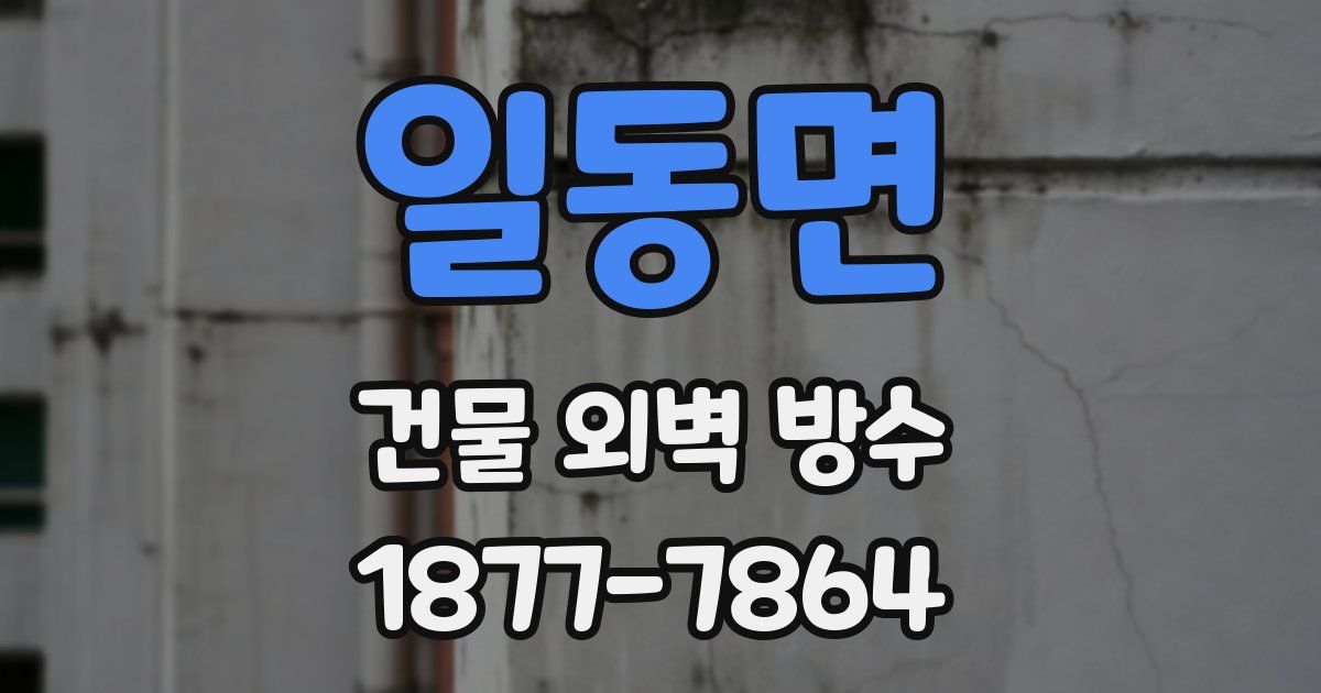일동면 건물 외벽 방수