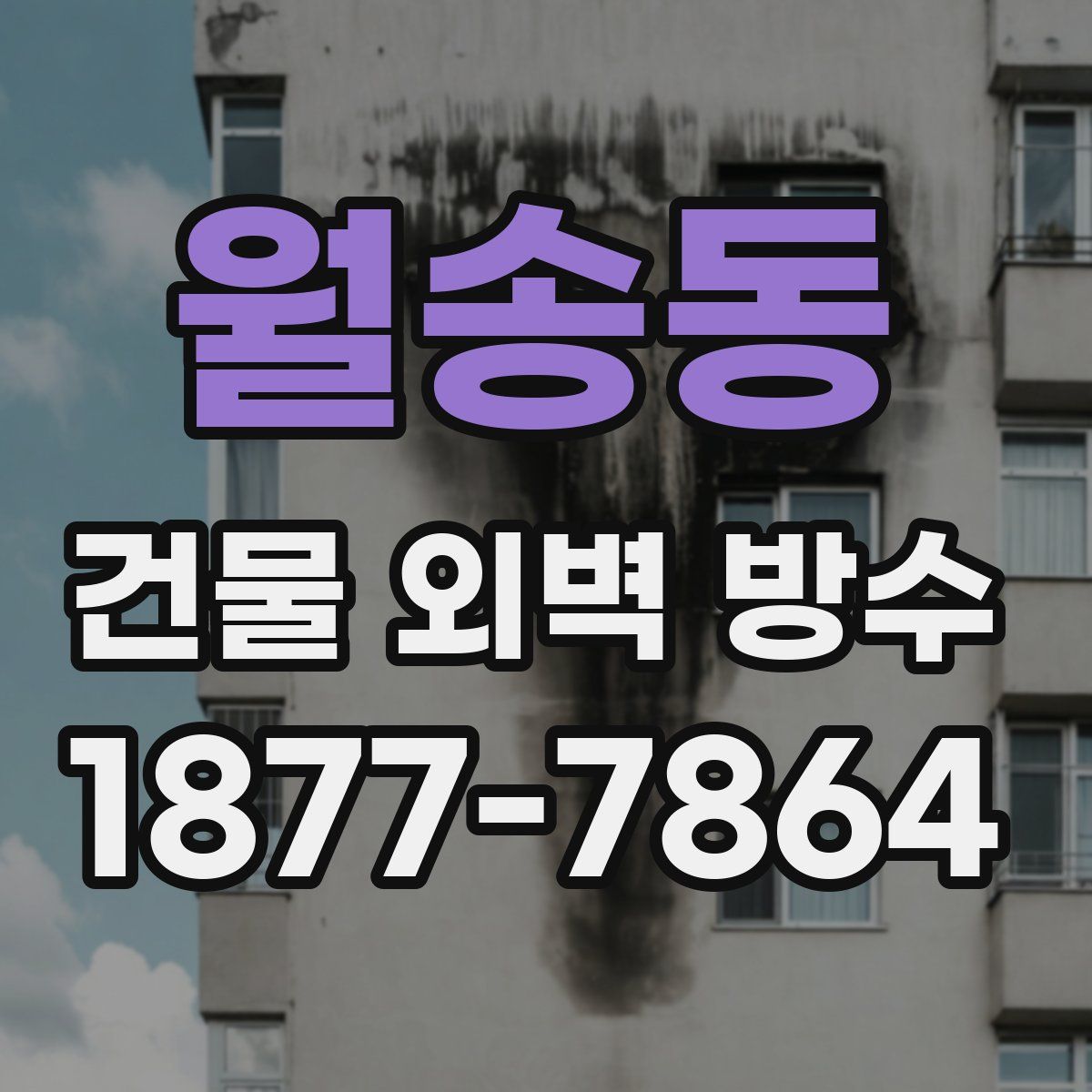 월송동 건물 외벽 방수