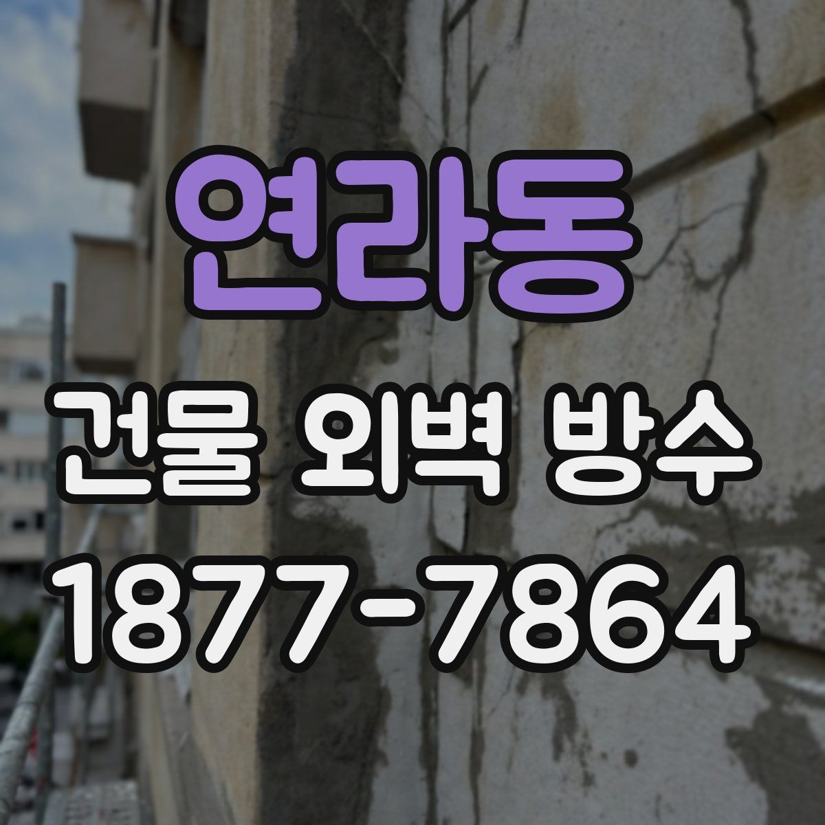 연라동 건물 외벽 방수