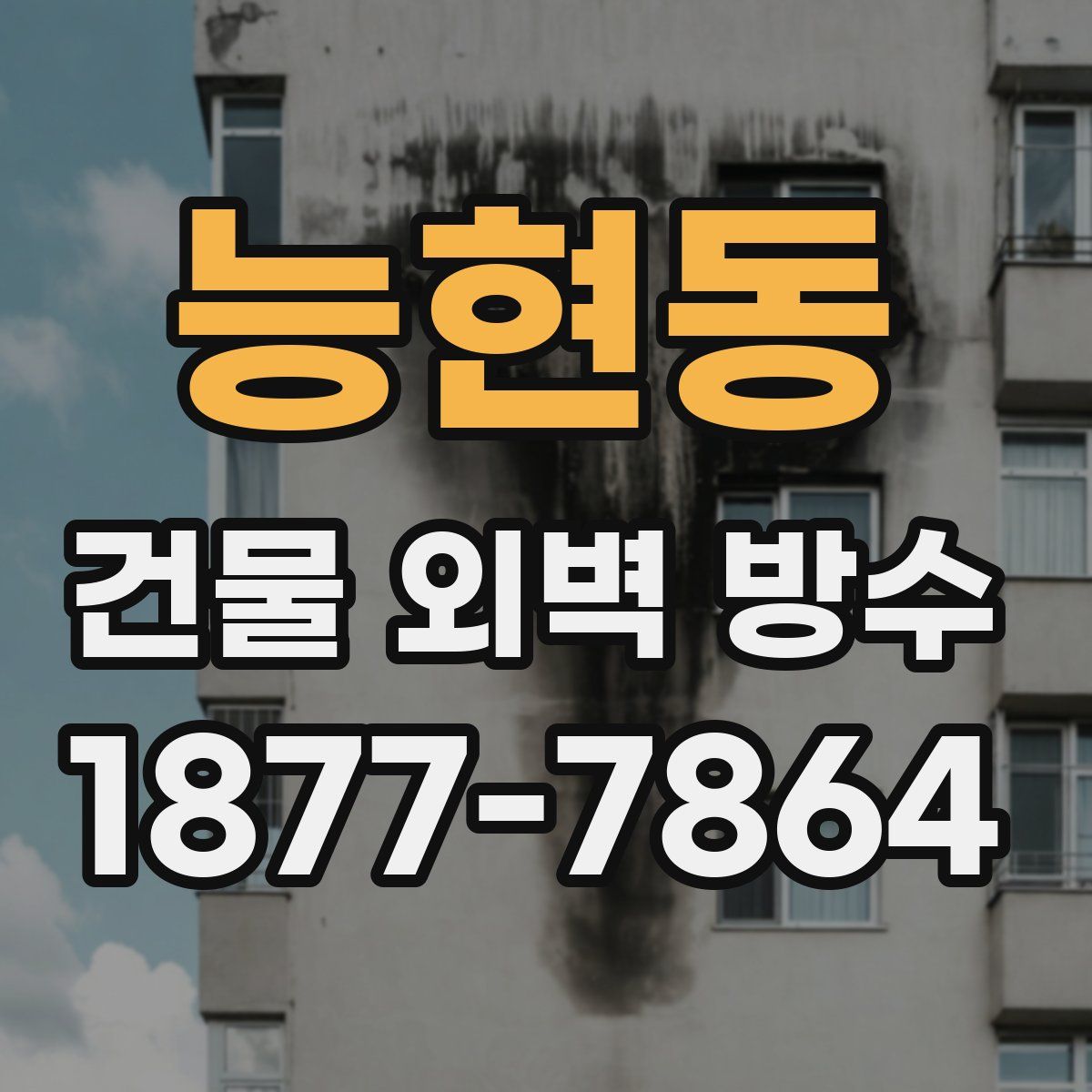 능현동 건물 외벽 방수