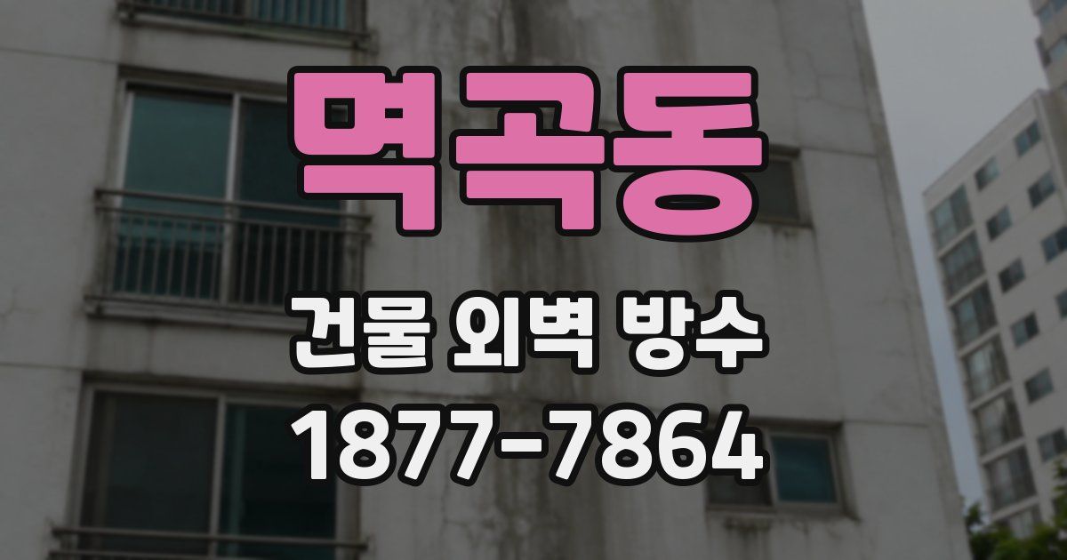 멱곡동 건물 외벽 방수