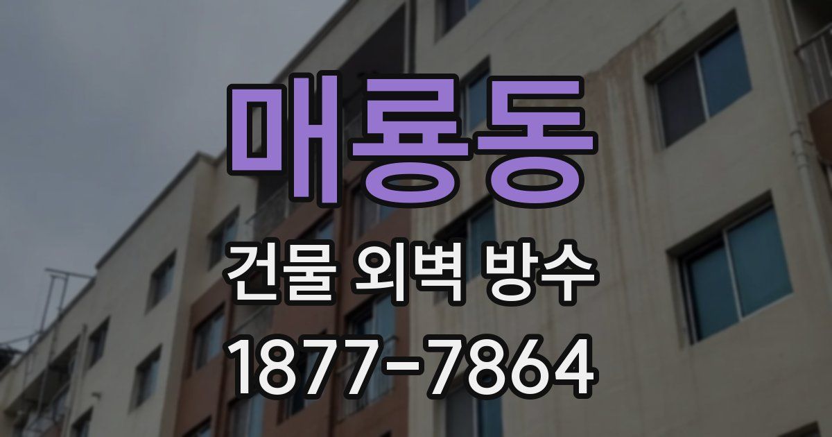 매룡동 건물 외벽 방수