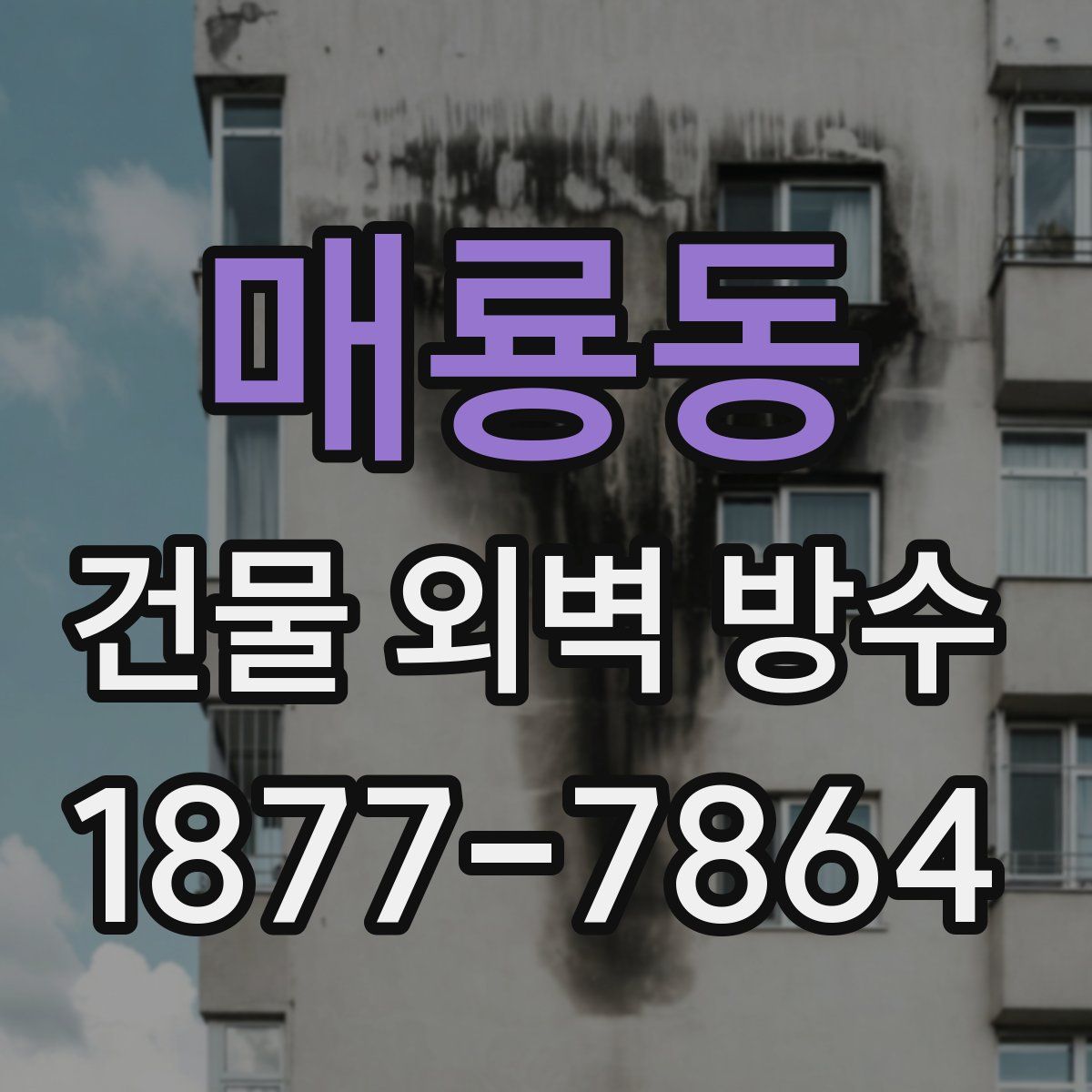 매룡동 건물 외벽 방수