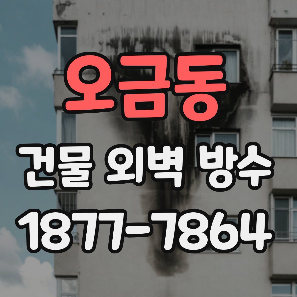 오금동 건물 외벽 방수