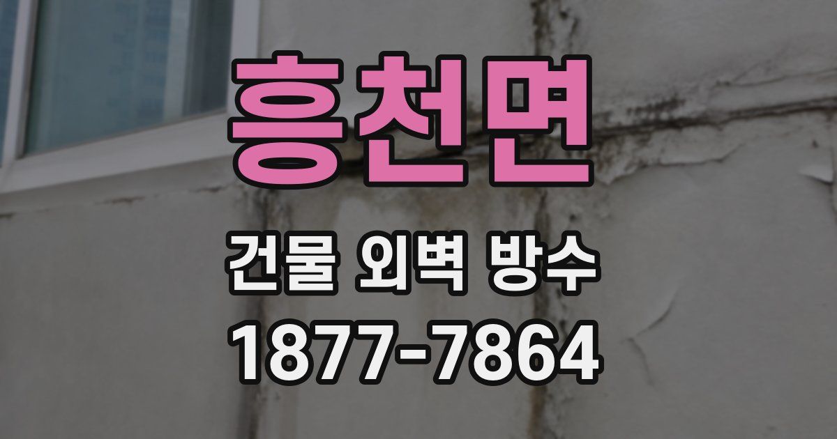 흥천면 건물 외벽 방수
