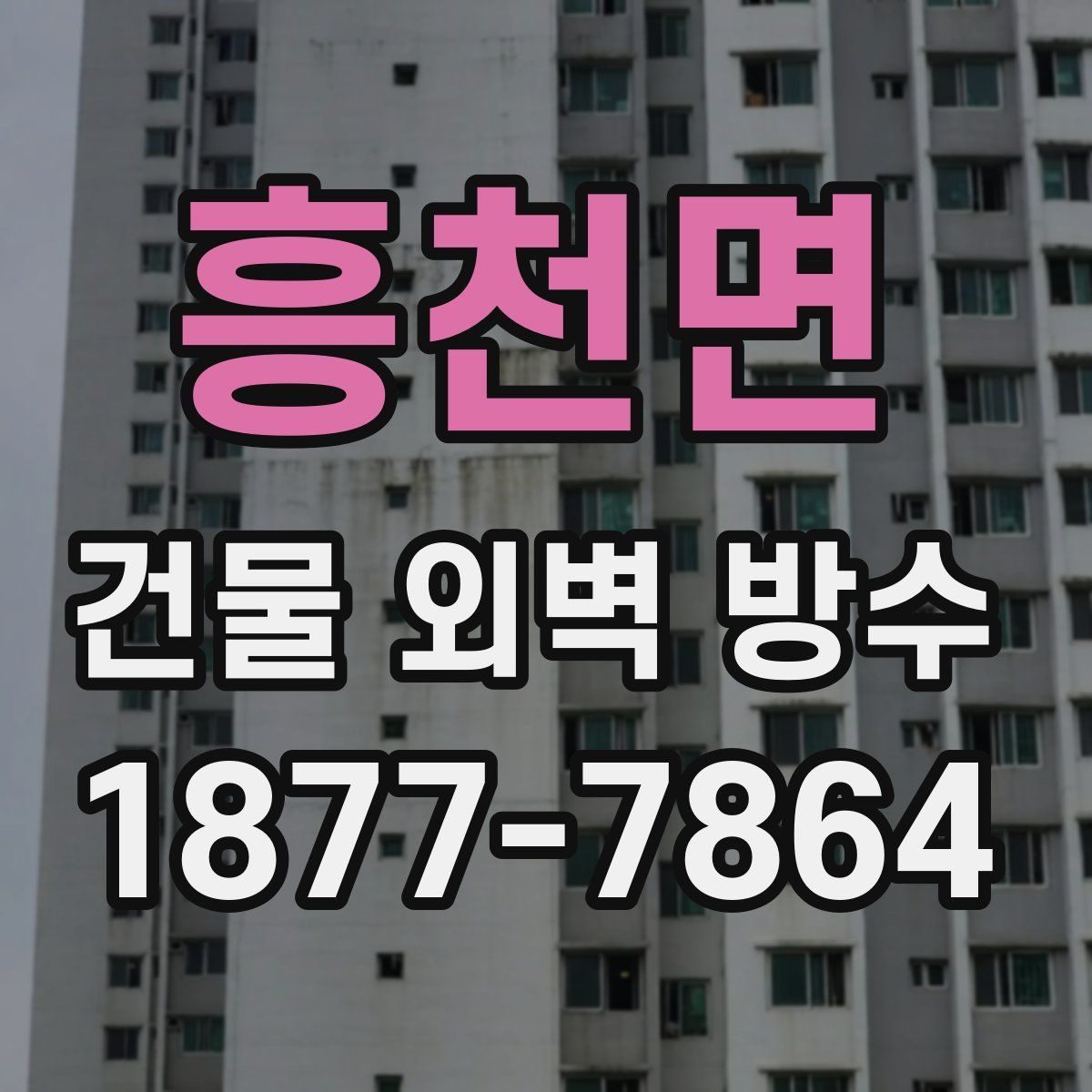 흥천면 건물 외벽 방수
