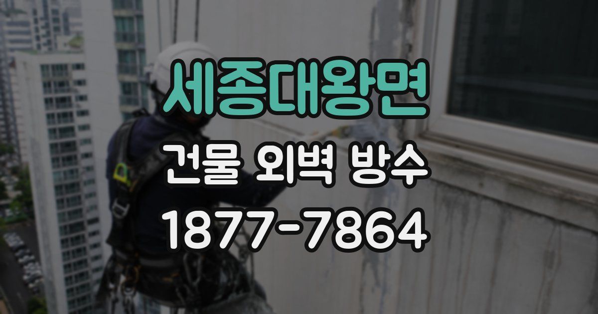 세종대왕면 건물 외벽 방수
