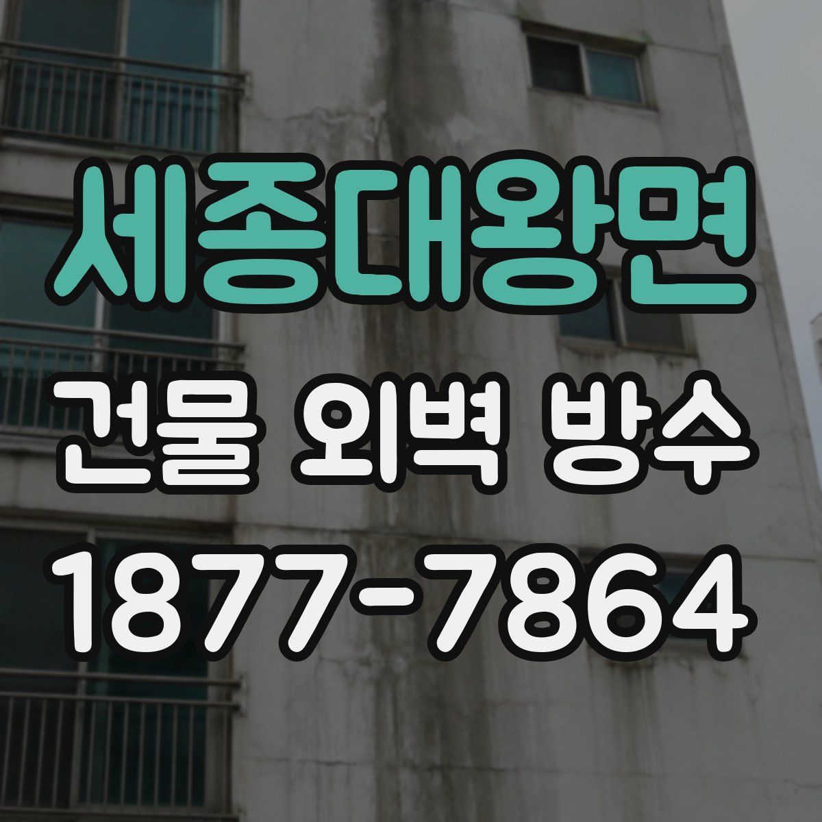 세종대왕면 건물 외벽 방수
