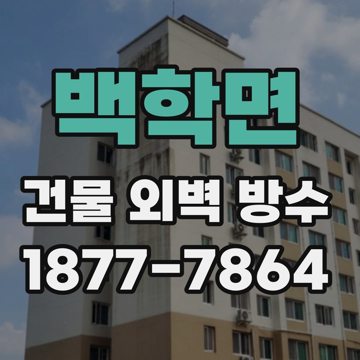 백학면 건물 외벽 방수