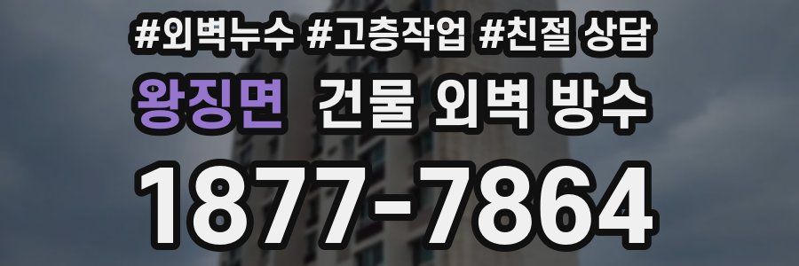 왕징면 건물 외벽 방수