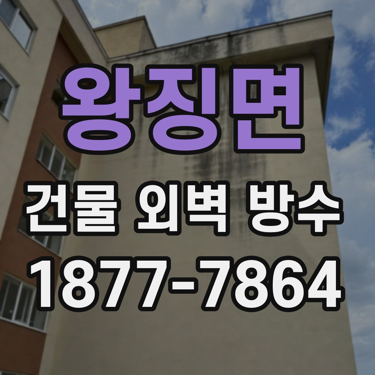 왕징면 건물 외벽 방수