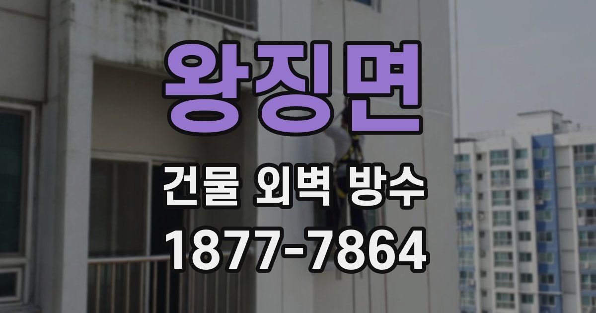 왕징면 건물 외벽 방수