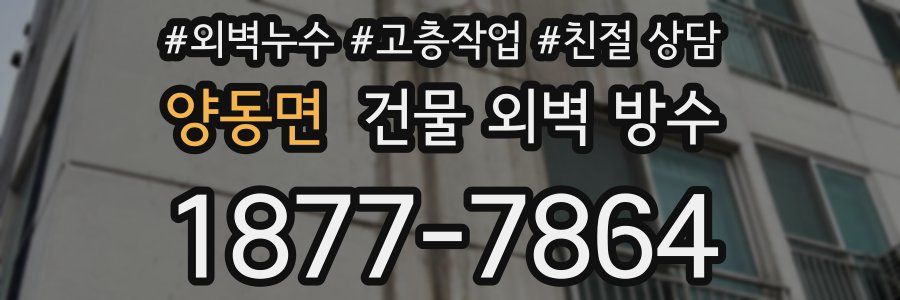 양동면 건물 외벽 방수