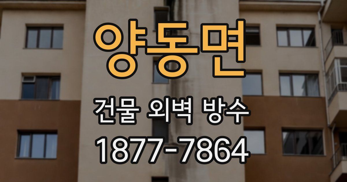 양동면 건물 외벽 방수