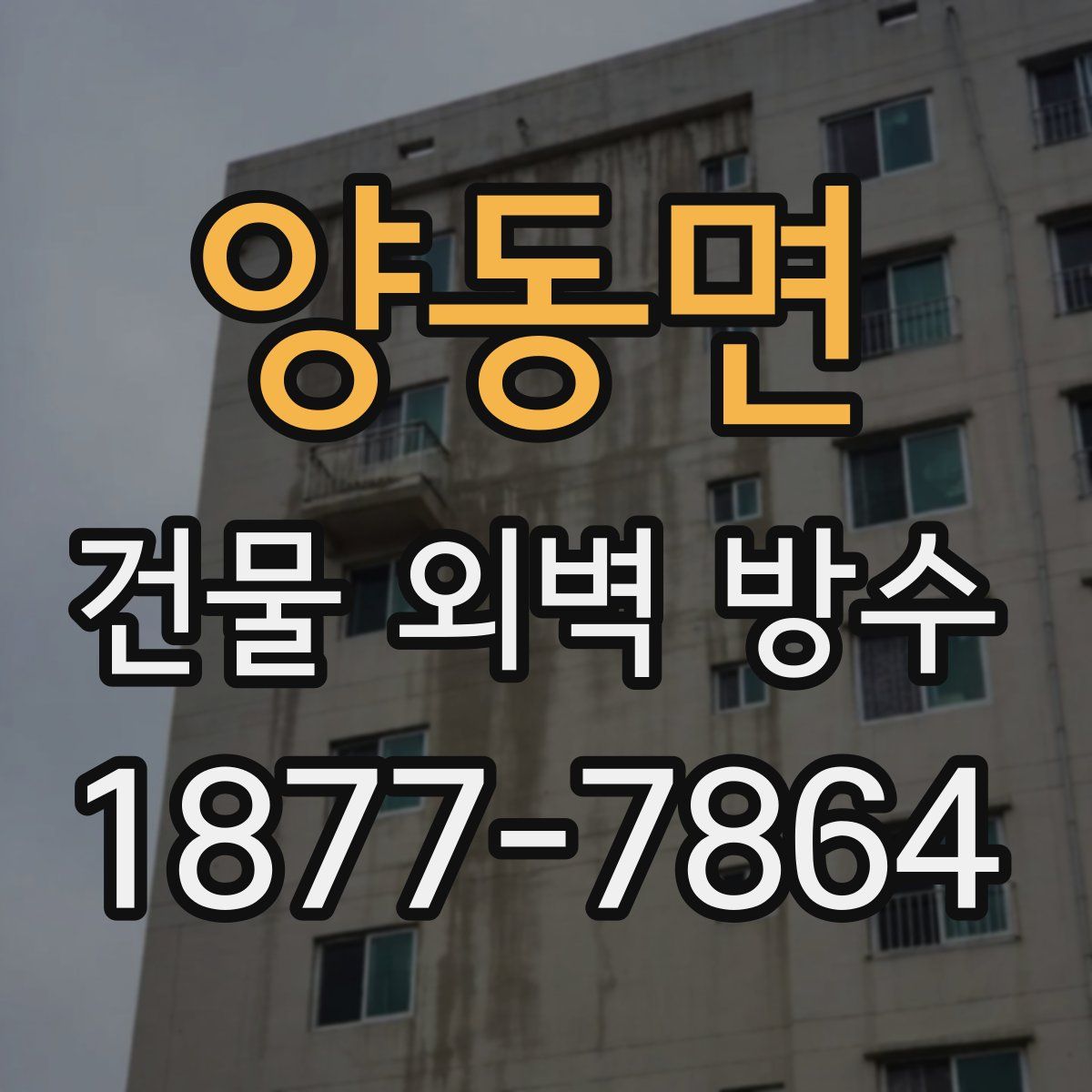 양동면 건물 외벽 방수