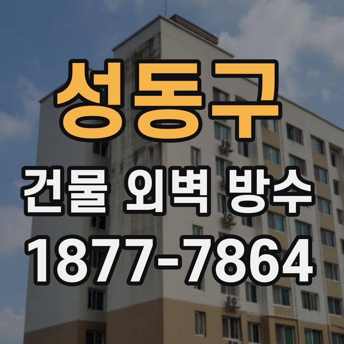 성동구 건물 외벽 방수