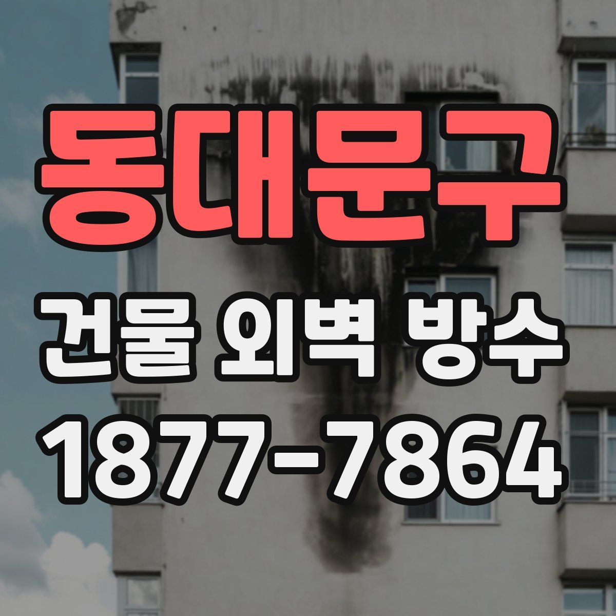 동대문구 건물 외벽 방수