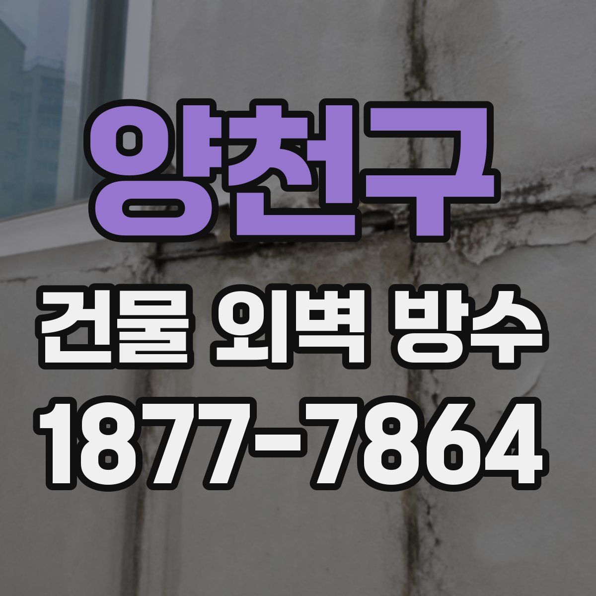 양천구 건물 외벽 방수