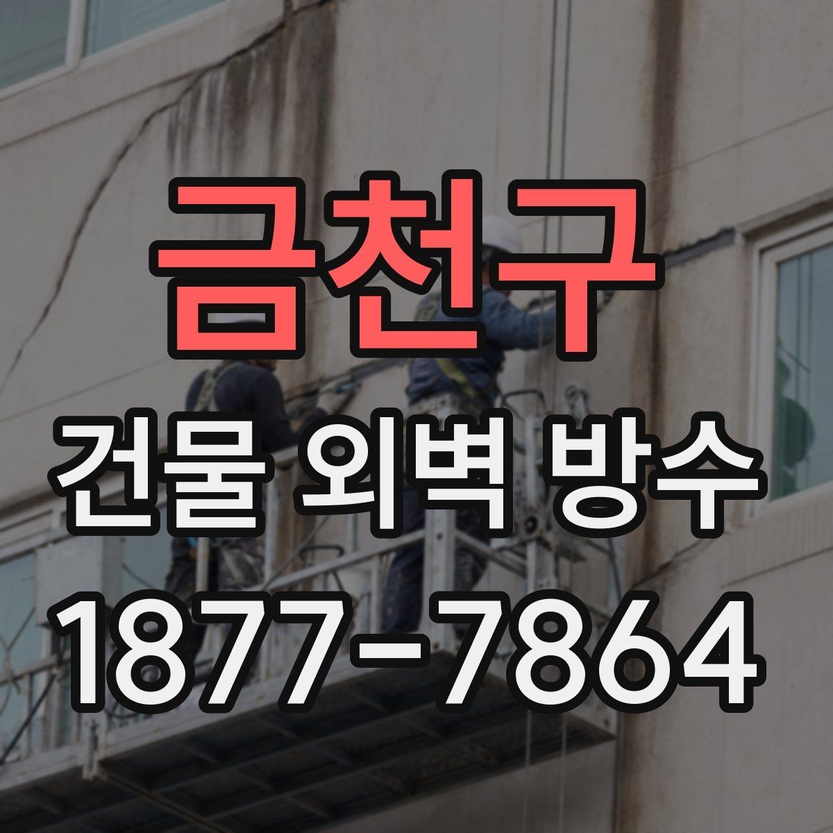 금천구 건물 외벽 방수 누수 원인 추적과 해결 방향