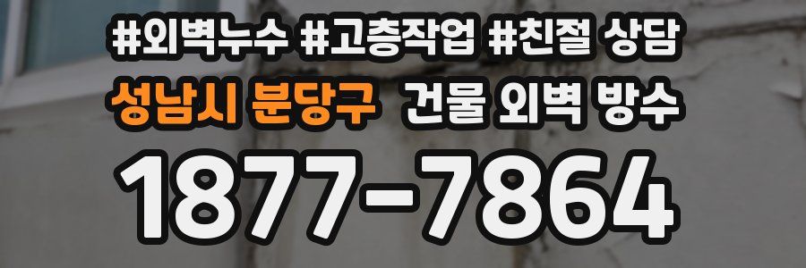 성남시 분당구 건물 외벽 방수