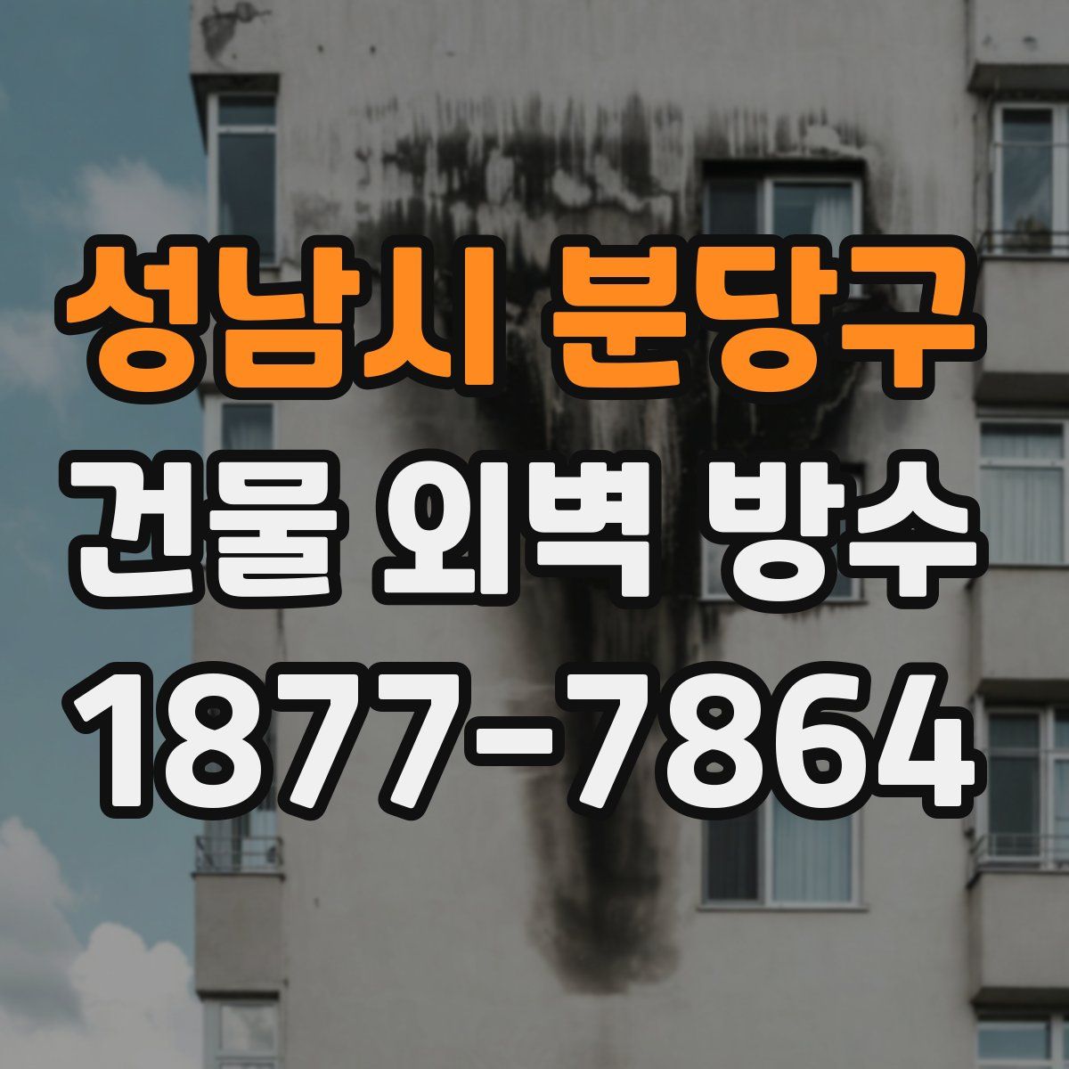 성남시 분당구 건물 외벽 방수