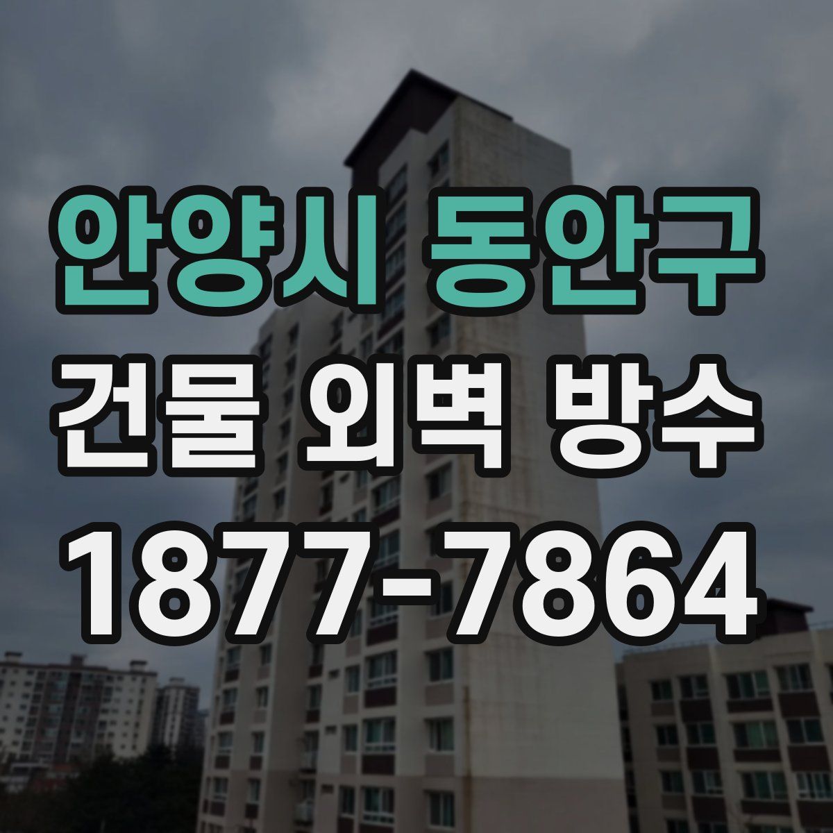 안양시 동안구 건물 외벽 방수
