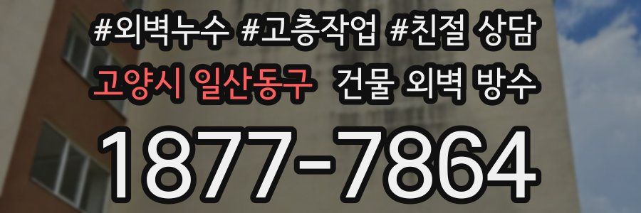 고양시 일산동구 건물 외벽 방수