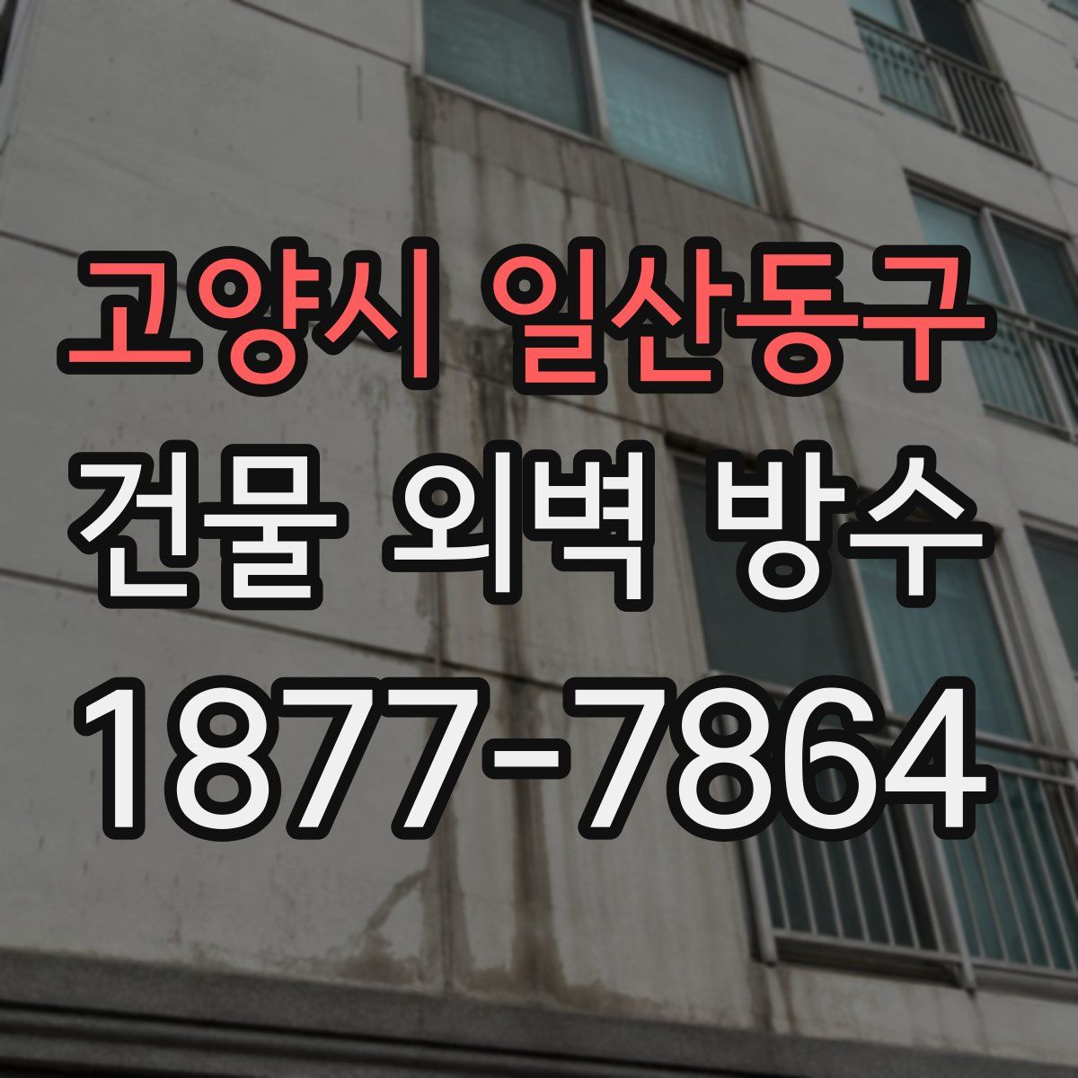 고양시 일산동구 건물 외벽 방수