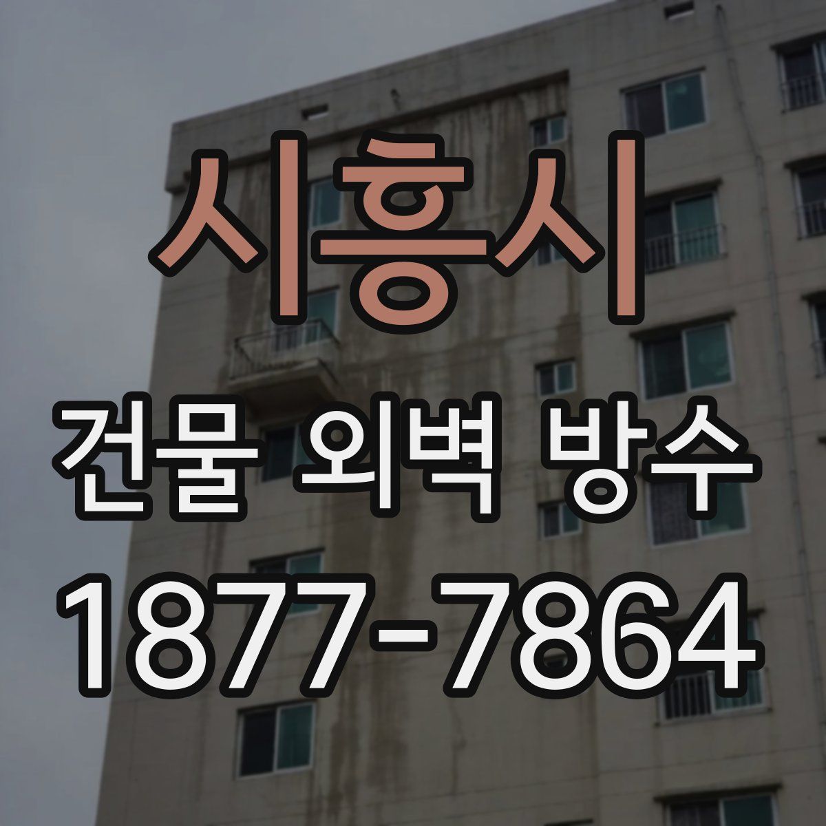 시흥시 건물 외벽 방수