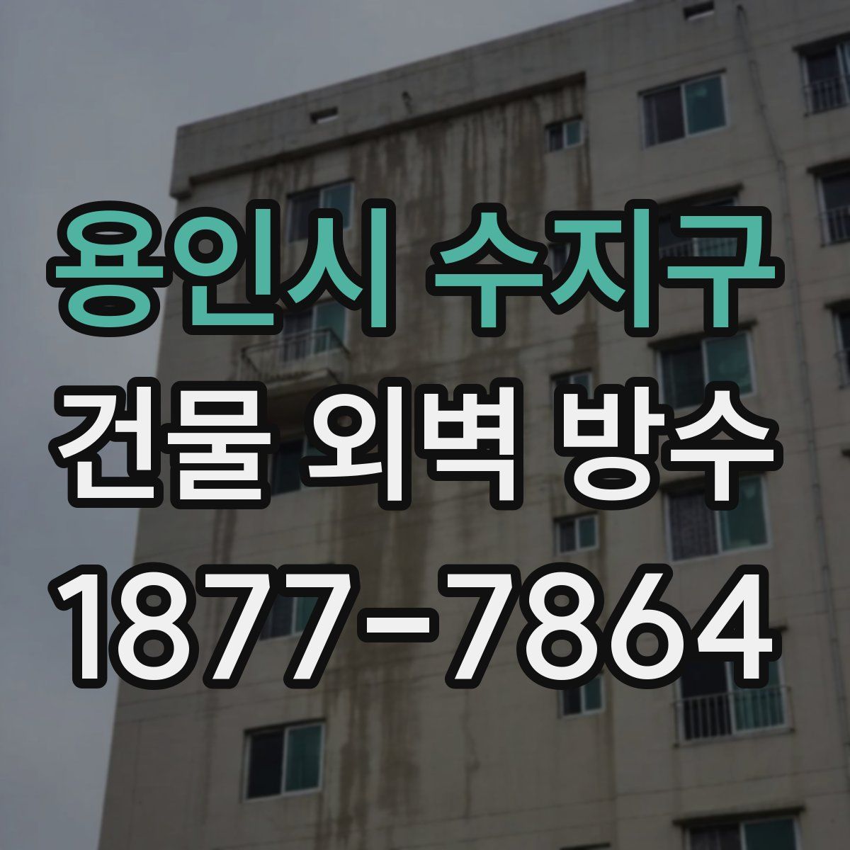 용인시 수지구 건물 외벽 방수