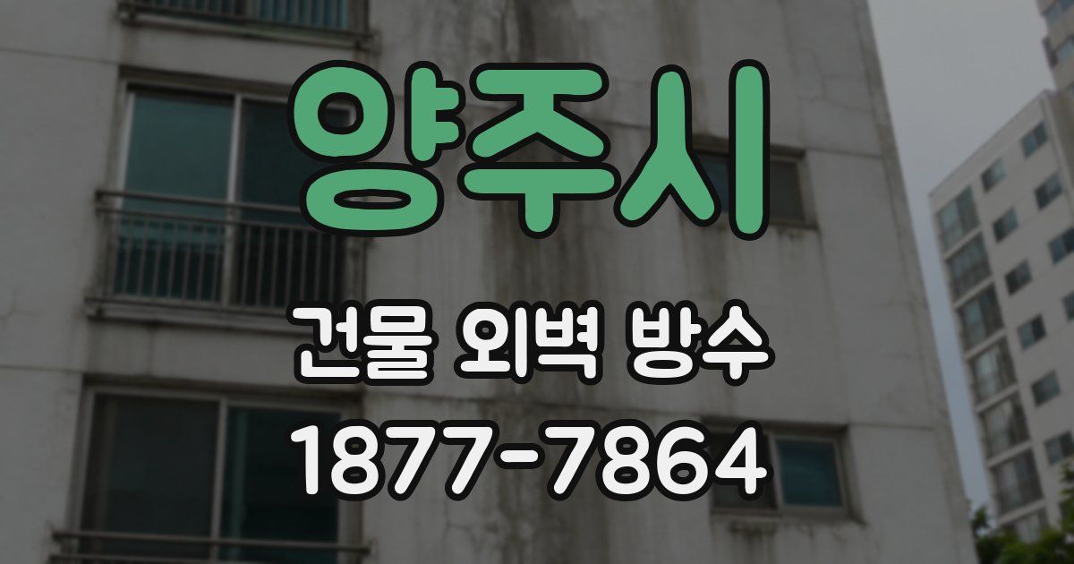 양주시 건물 외벽 방수