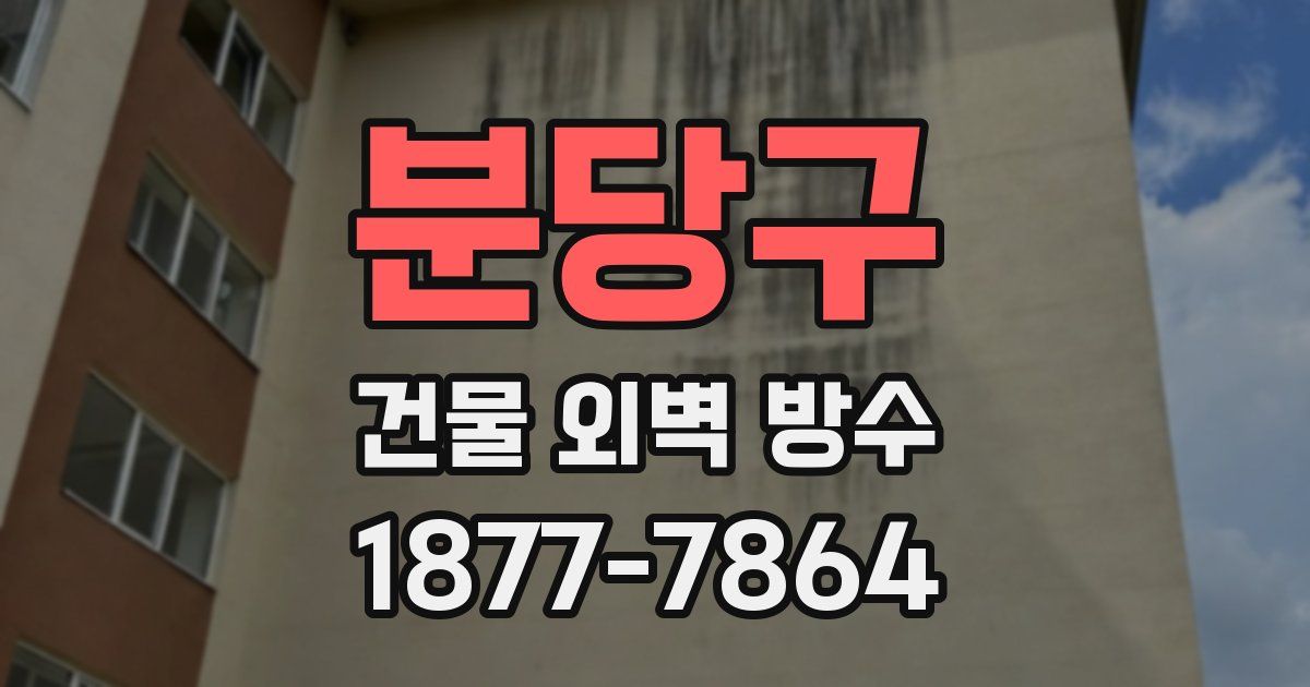 분당구 건물 외벽 방수