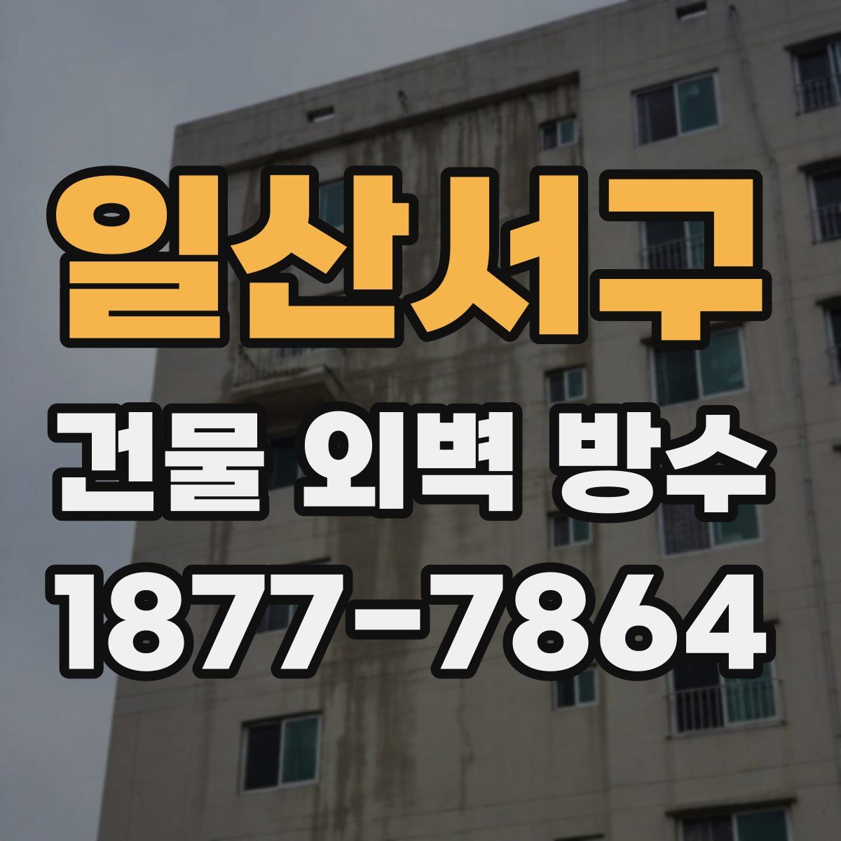 일산서구 건물 외벽 방수