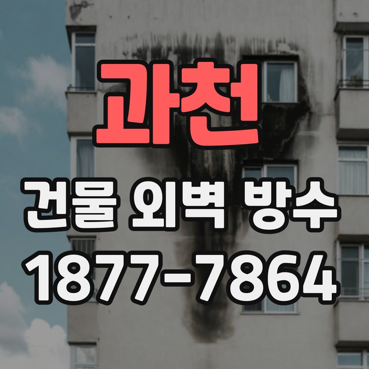 과천 건물 외벽 방수
