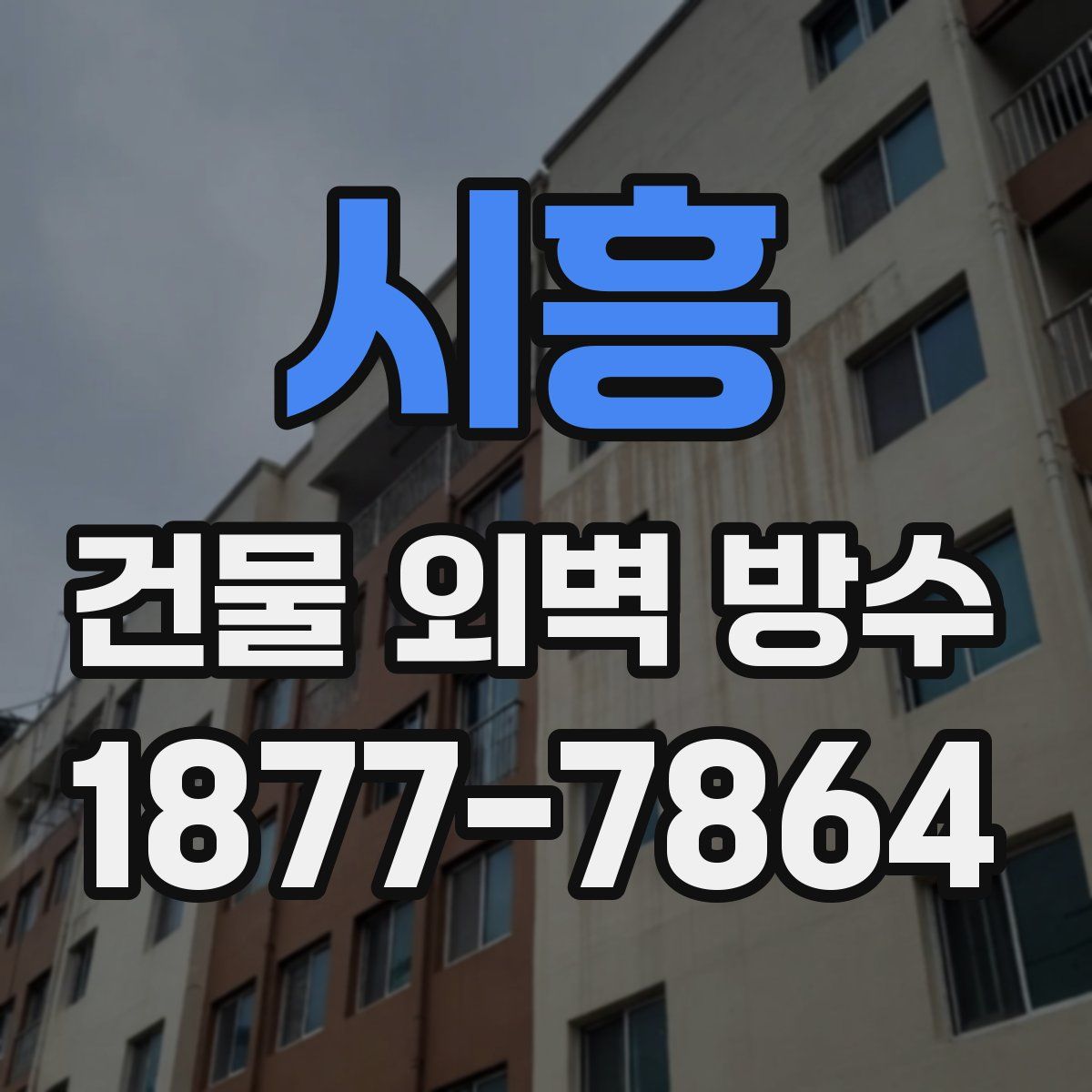 시흥 건물 외벽 방수