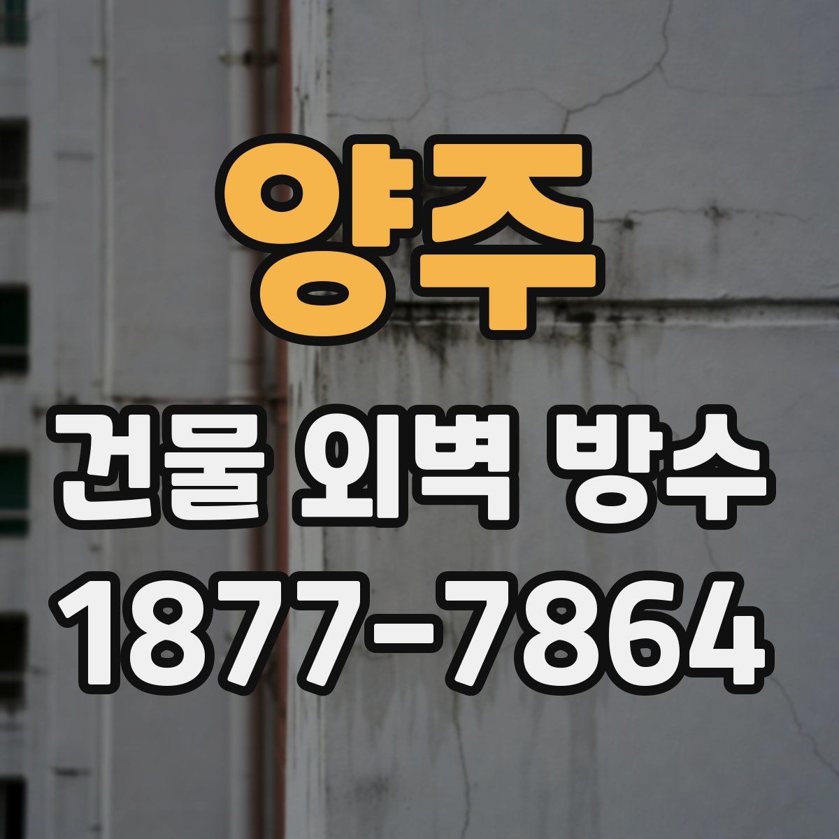 양주 건물 외벽 방수