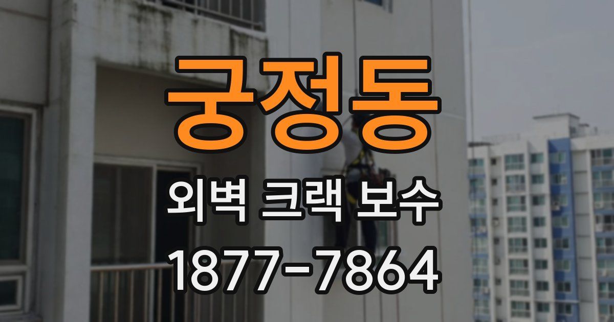 궁정동 외벽 크랙 보수