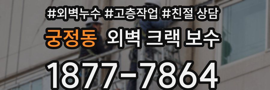 궁정동 외벽 크랙 보수