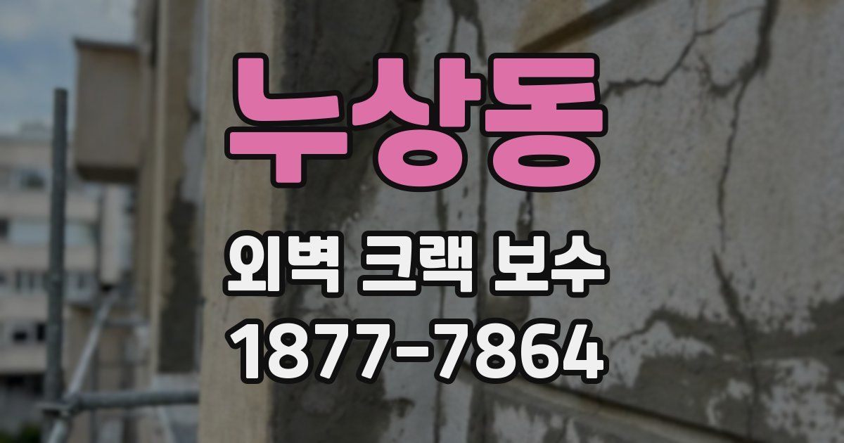 누상동 외벽 크랙 보수