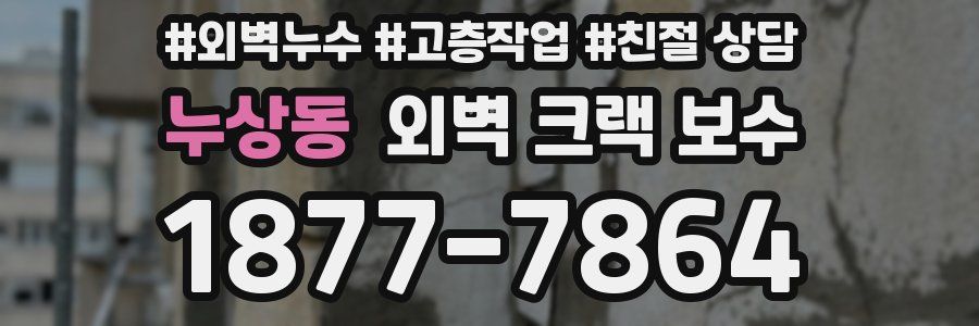누상동 외벽 크랙 보수
