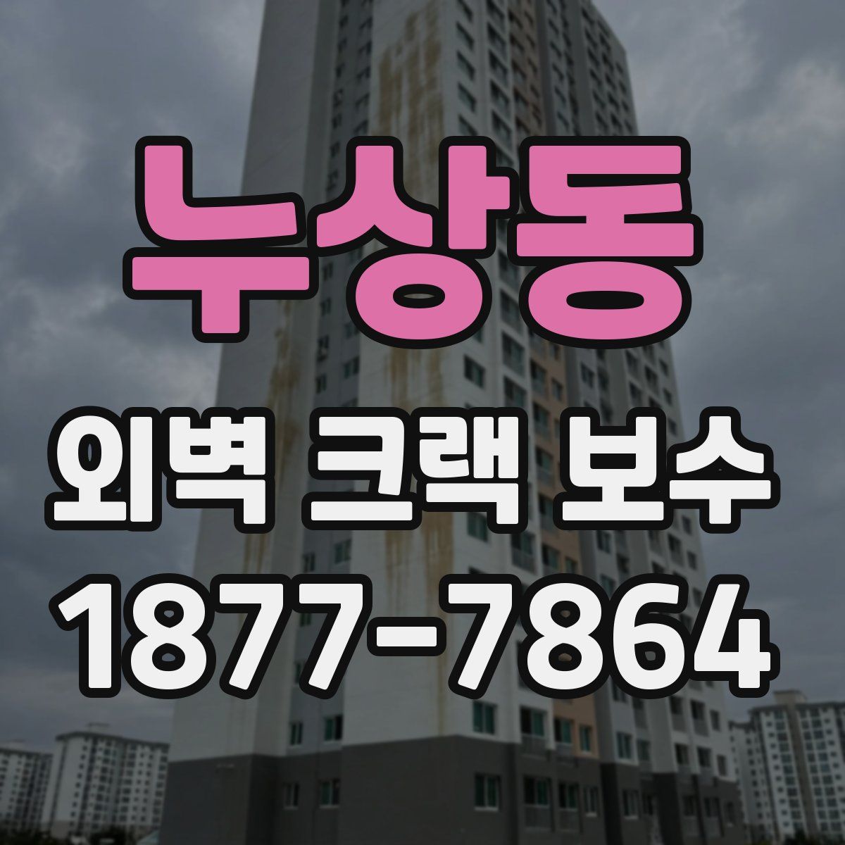 누상동 외벽 크랙 보수