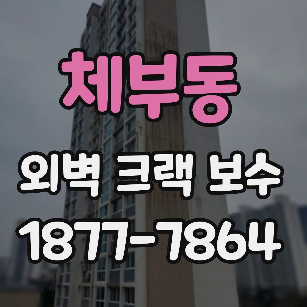 체부동 외벽 크랙 보수