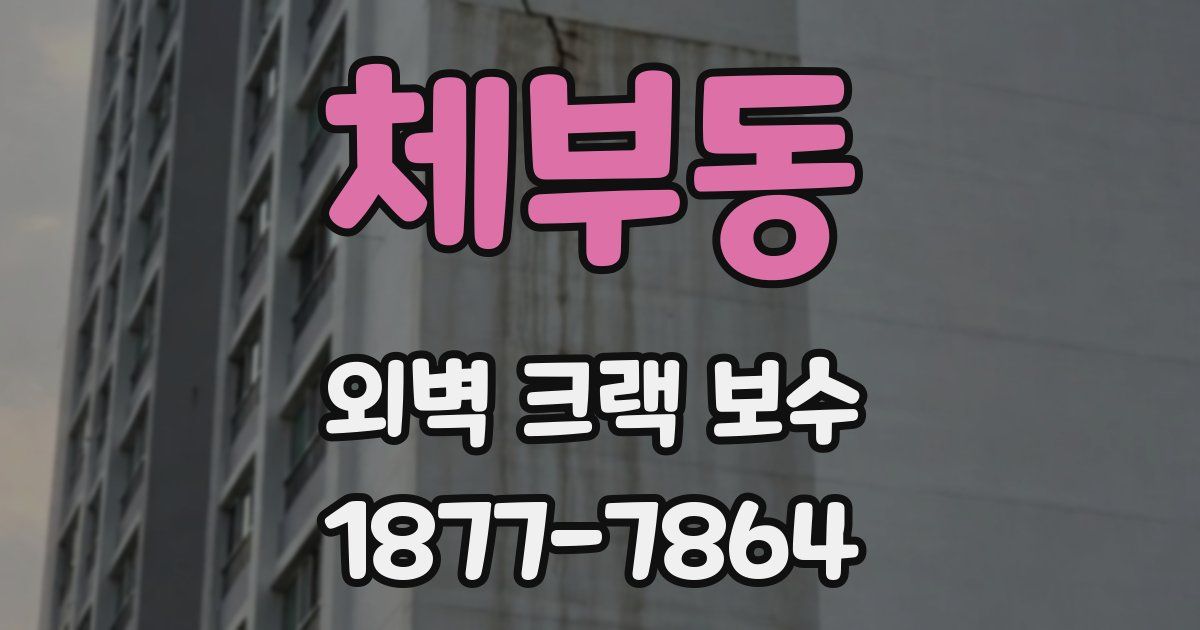 체부동 외벽 크랙 보수