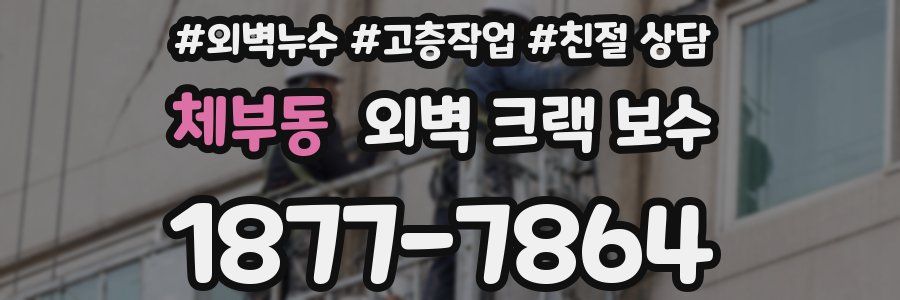 체부동 외벽 크랙 보수