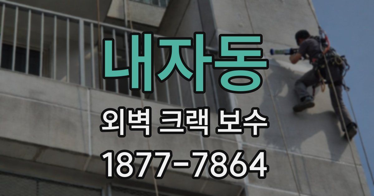 내자동 외벽 크랙 보수