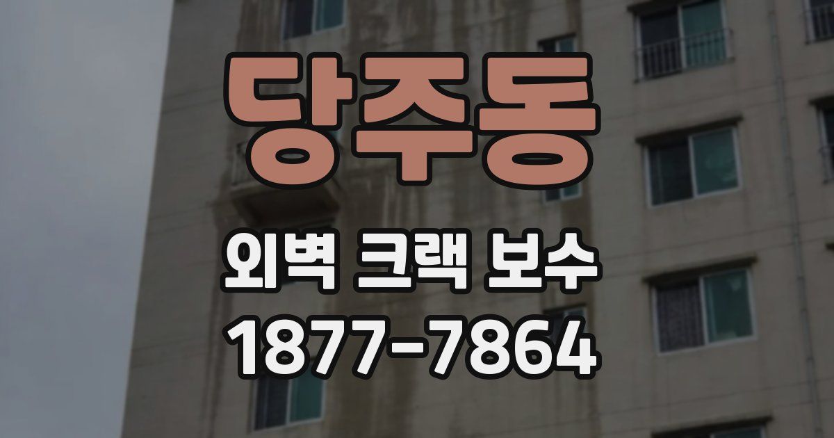 당주동 외벽 크랙 보수