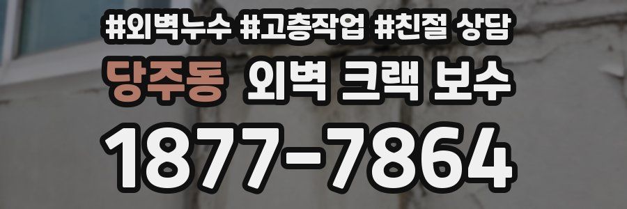 당주동 외벽 크랙 보수