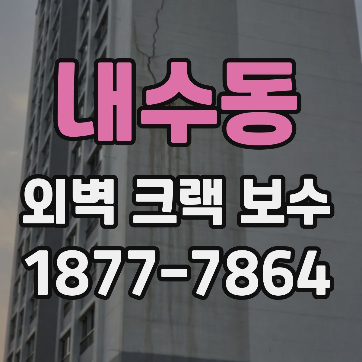 내수동 외벽 크랙 보수