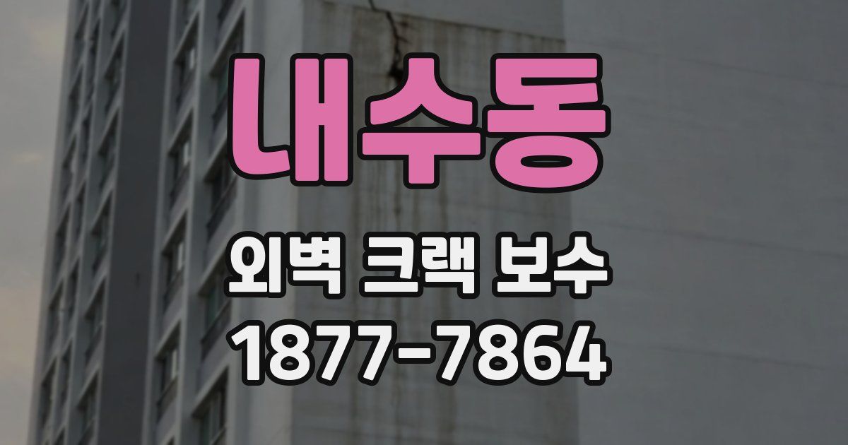 내수동 외벽 크랙 보수