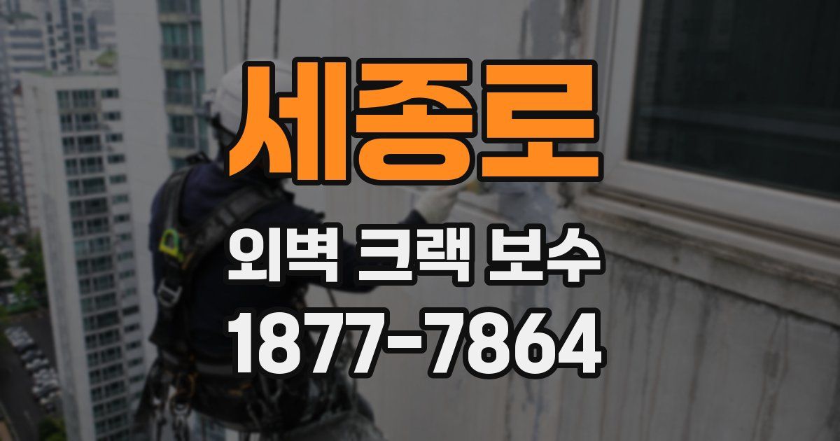 세종로 외벽 크랙 보수
